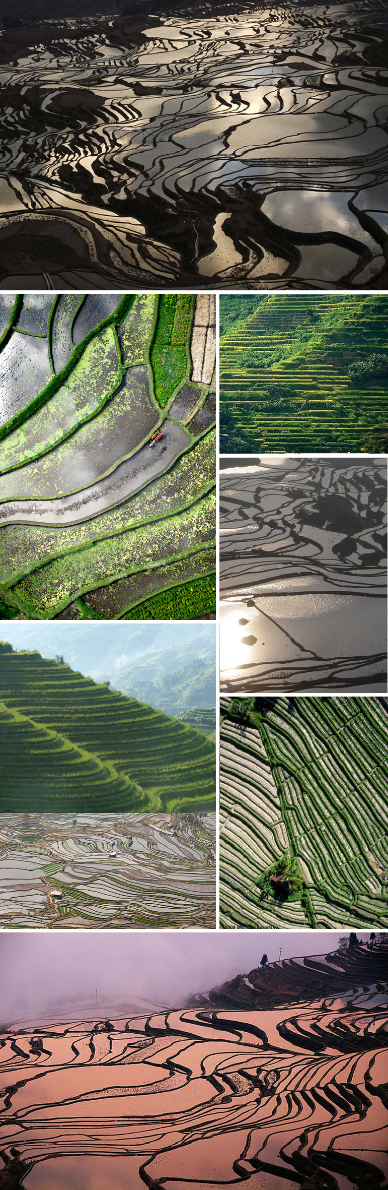 rice terraces