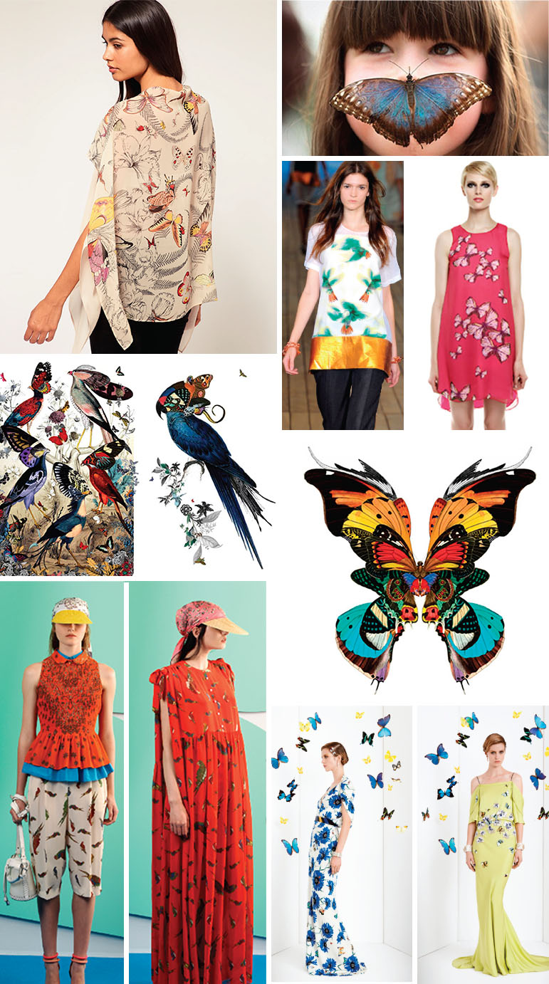 PatternObserver_Trends_Birds