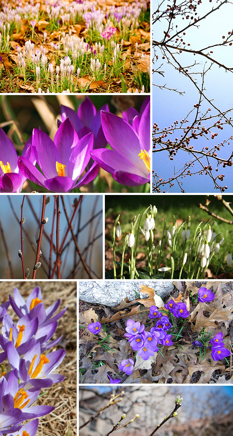Spring_PatternObserver