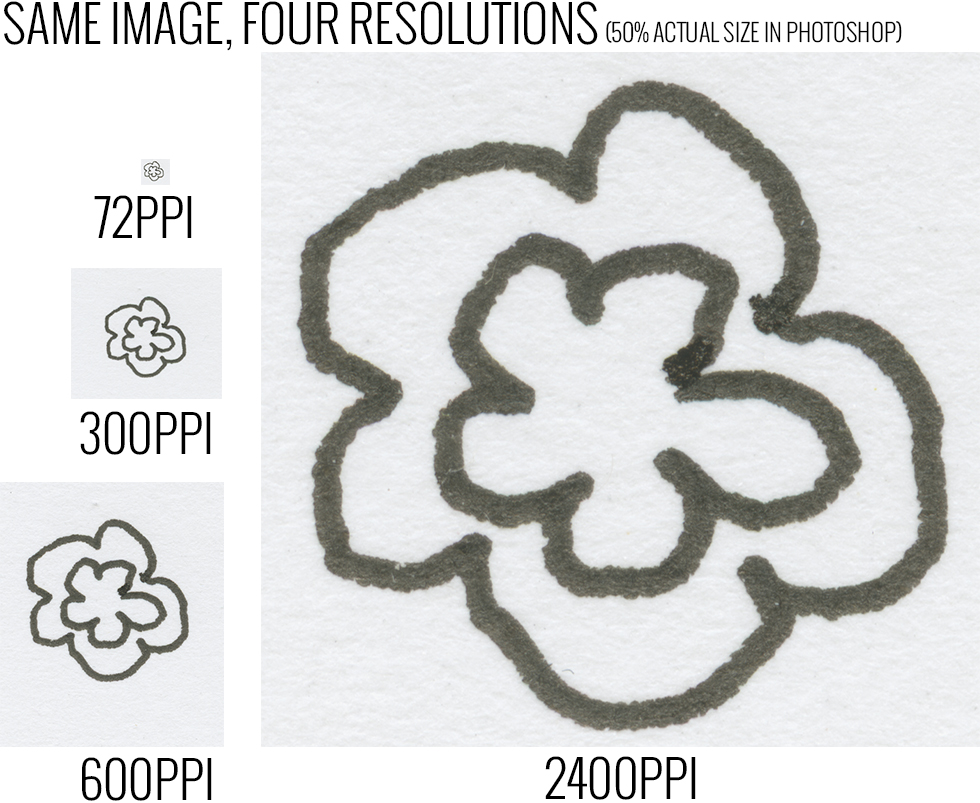13fig13-same image scanned at 4 different resolutions