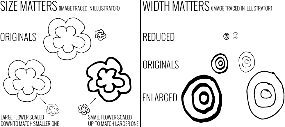 9fig09-size and width matter
