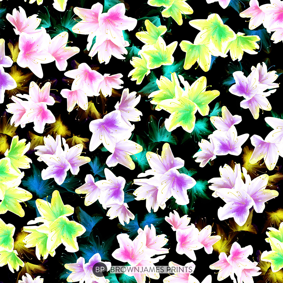 Brownjames_Prints_186