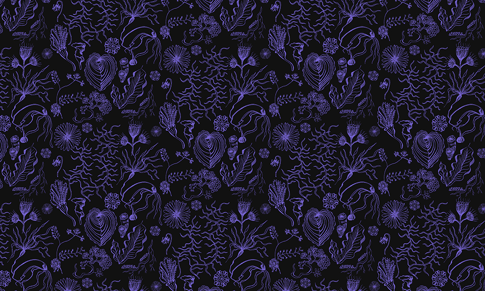 Textile Design Lab Member Spotlight: Lara Gurney