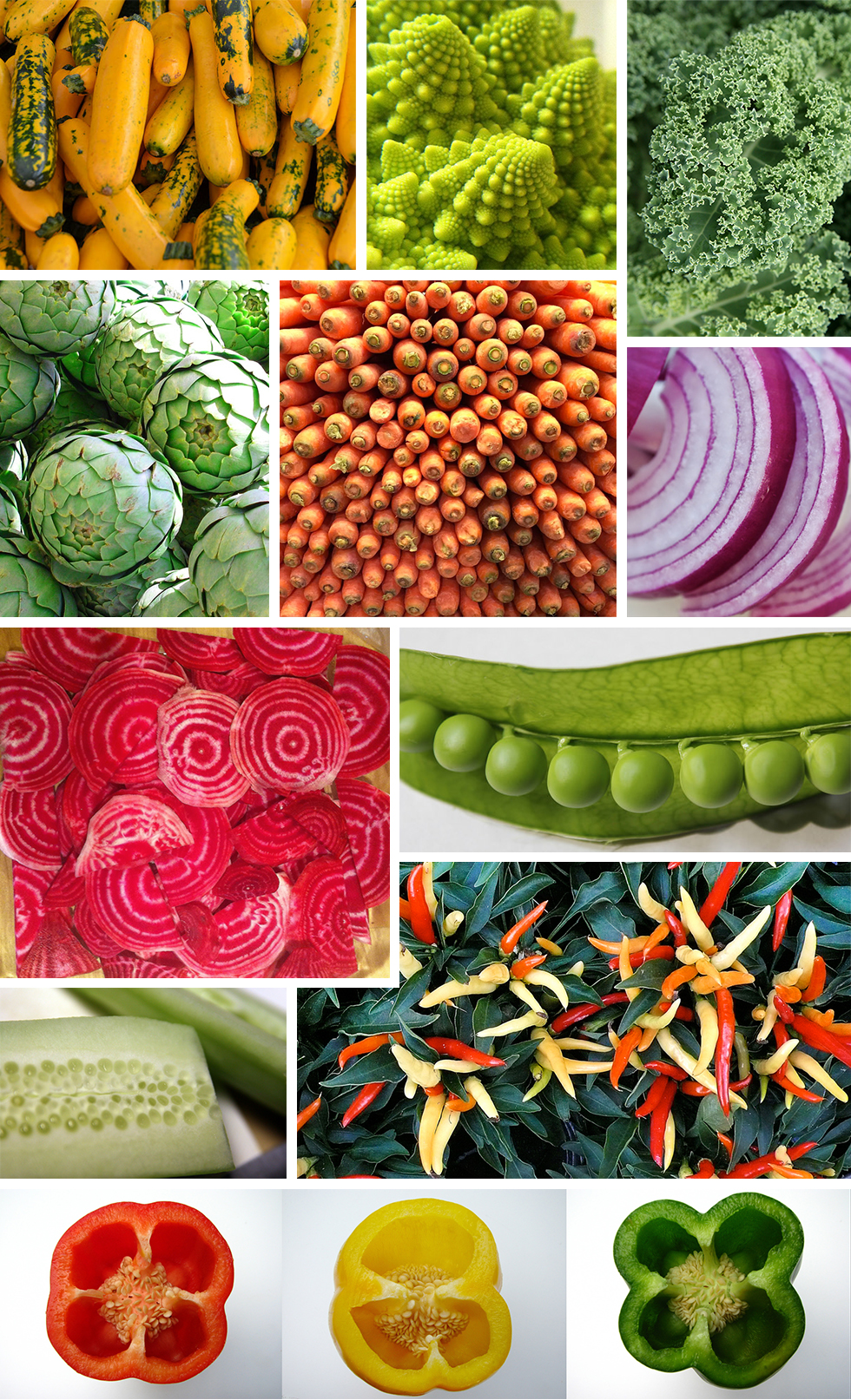 Pattern Observer Found Patterns - Vegetables https://test.patternobserver.com/2016/05/18/found-patterns-vegetables/ 
