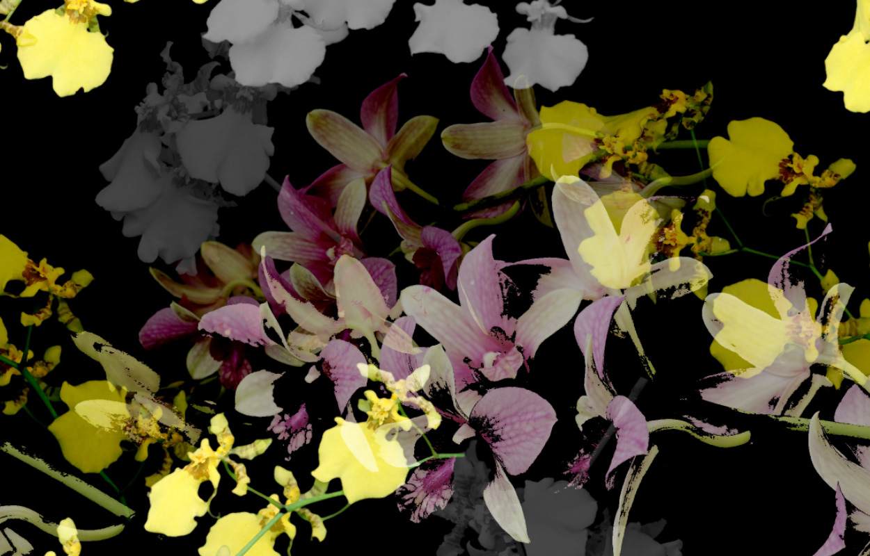 wix05