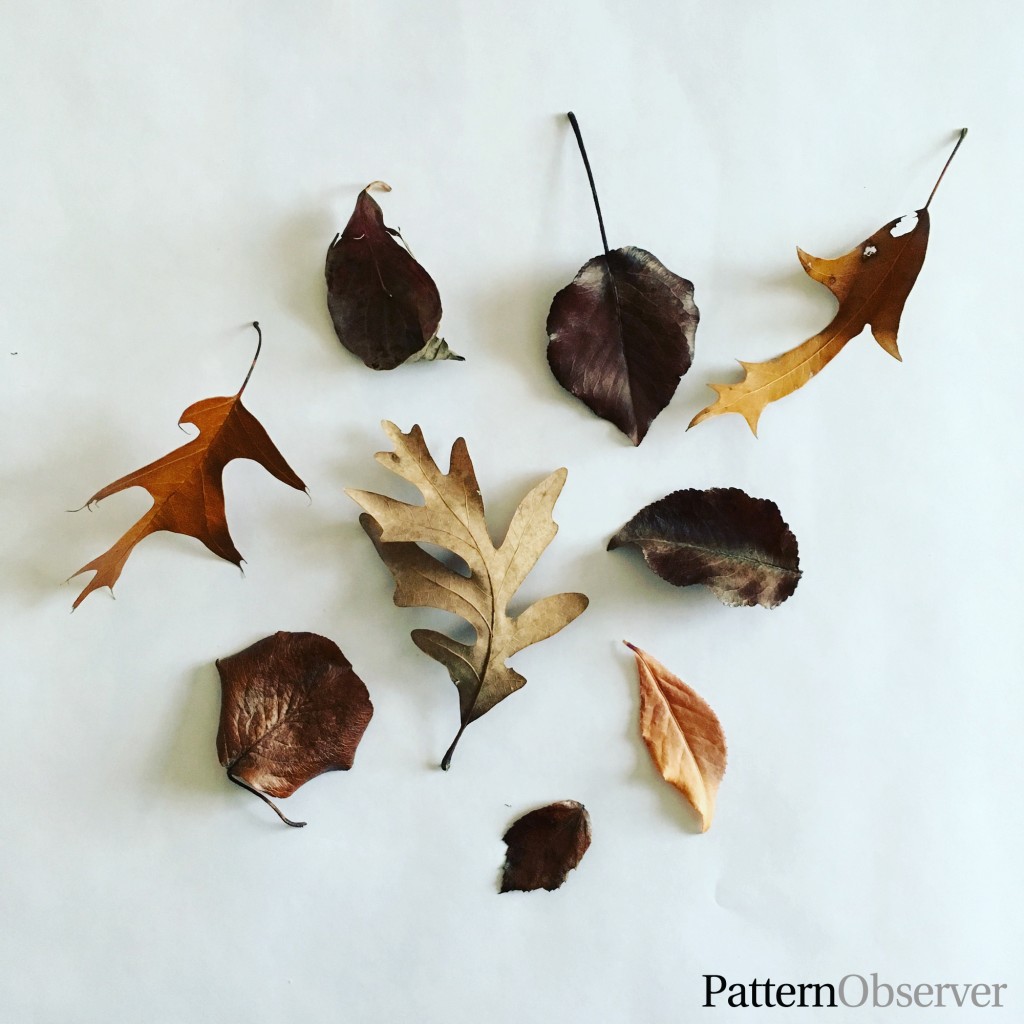 Tossed surface pattern design inspiration created with leaves on a white background.