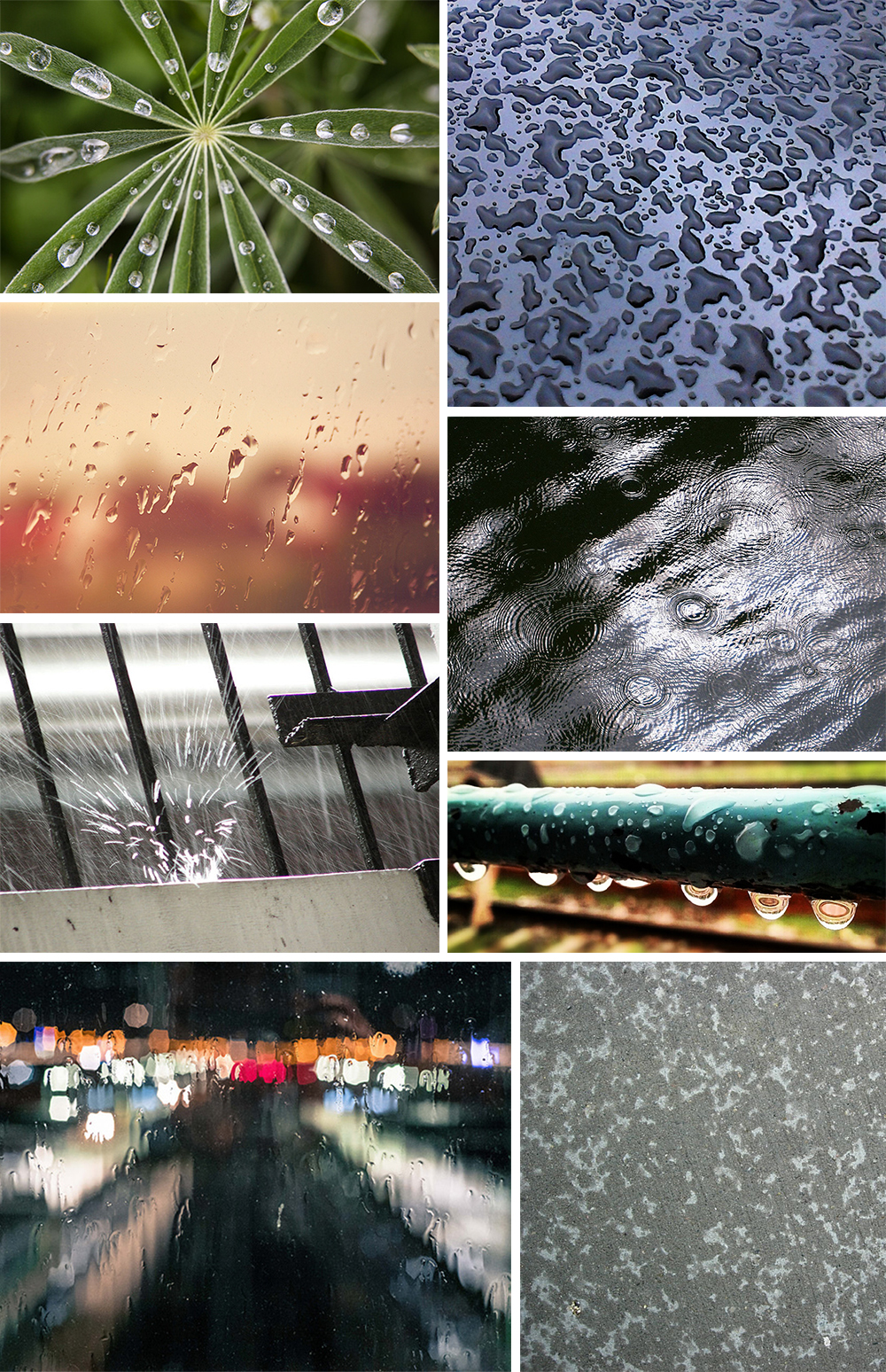 rain